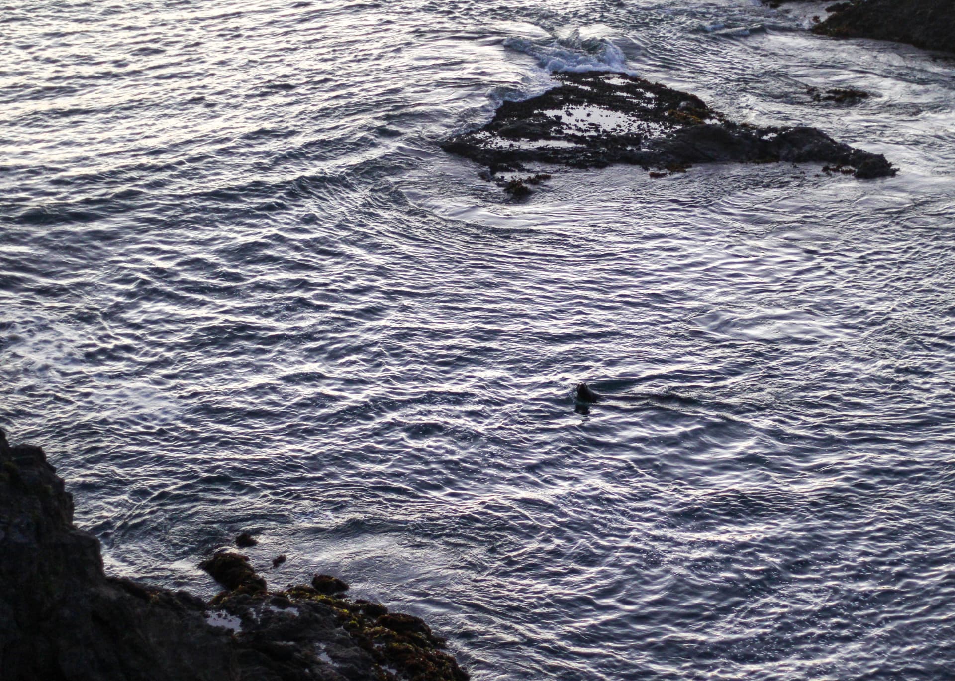 Sunlit waves breaking over dark rocks along the Mendocino coast