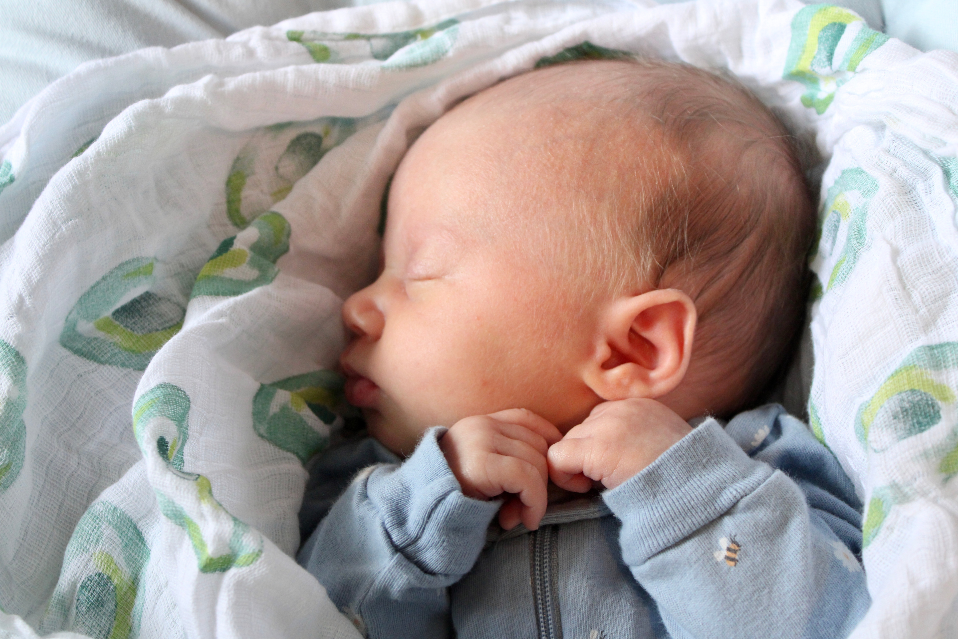Newborn Phoebe sleeping in soft window light