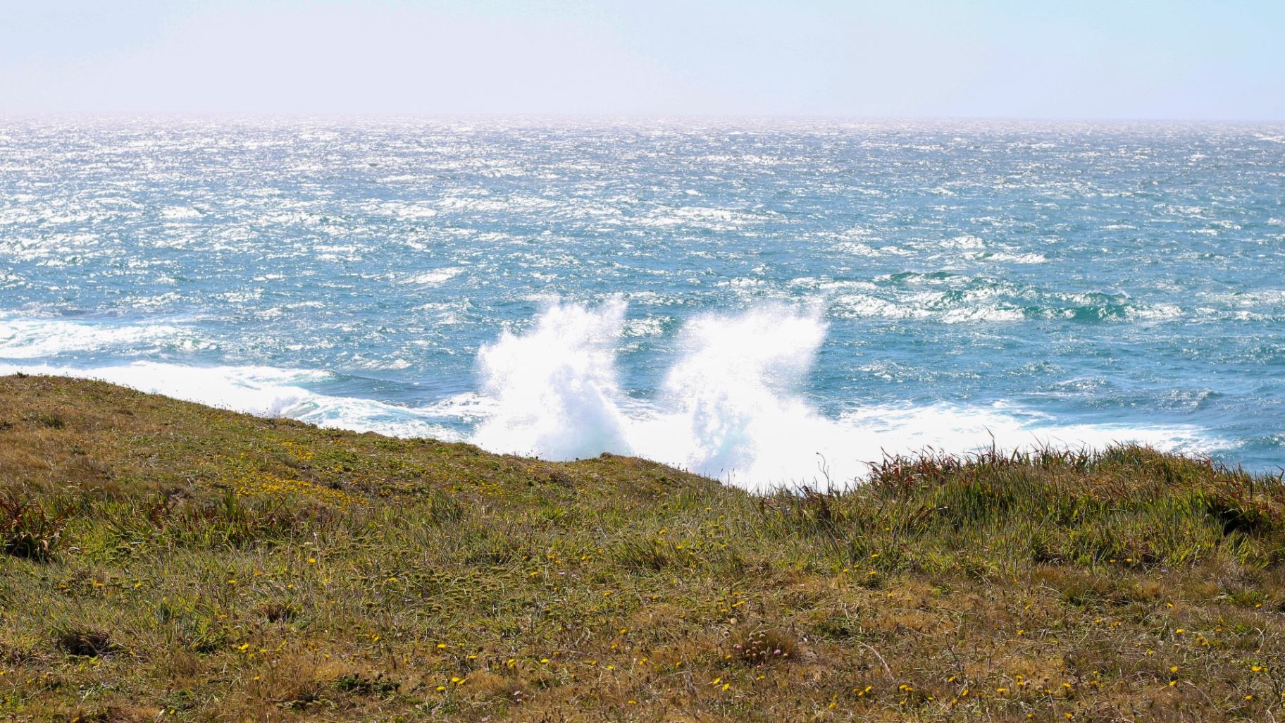 Waves crashing and sending spray into the air along the Mendocino headlands