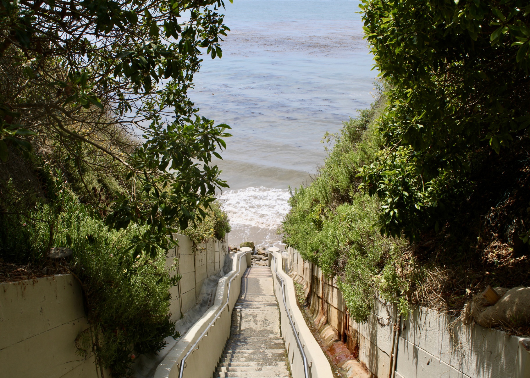 Stairway down through greenery to the Santa Barbara shoreline