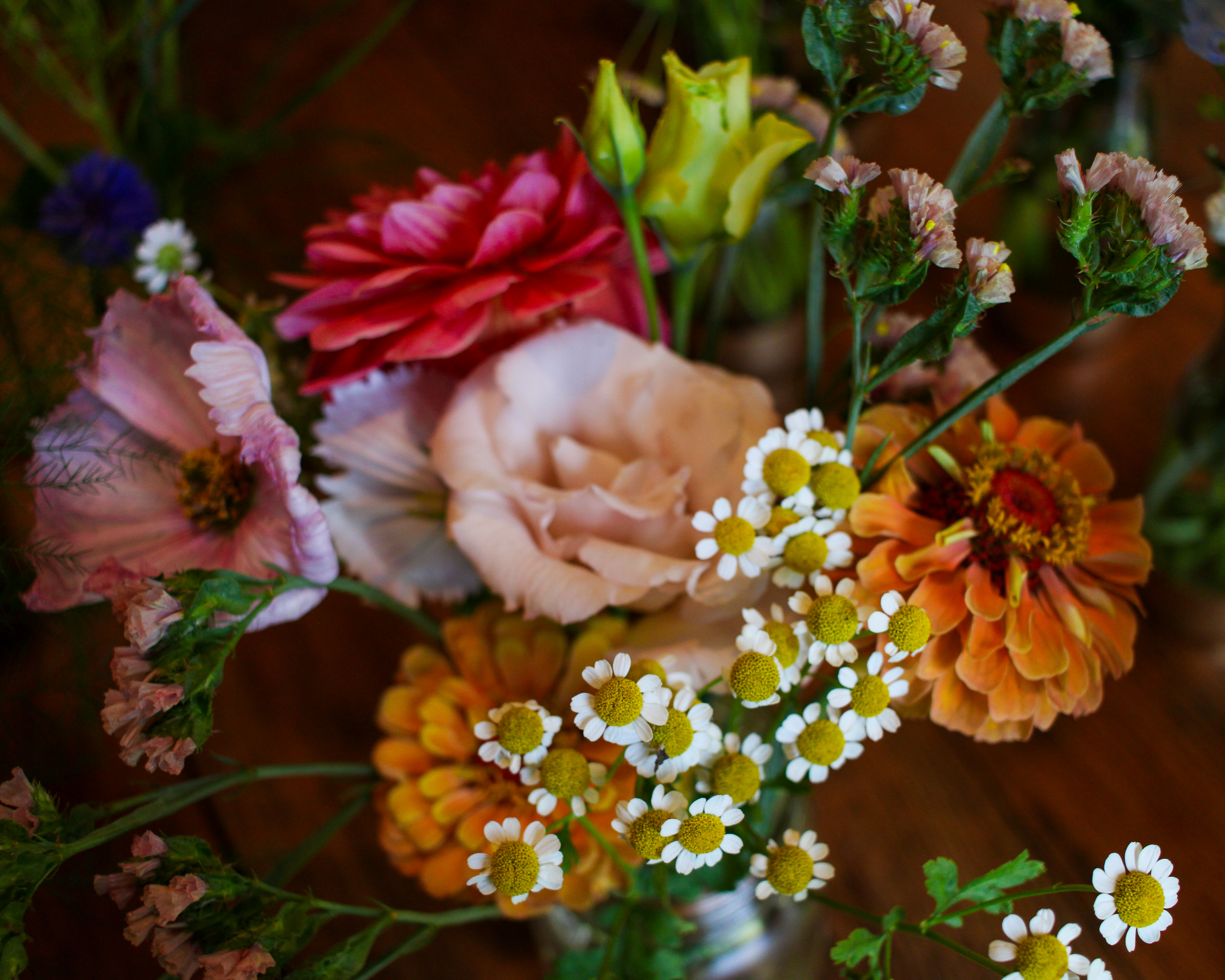 Close-up of a wildflower arrangement with zinnias, roses, and chamomile